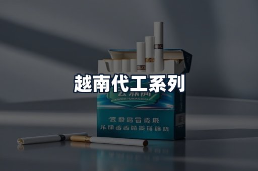越南代工系列